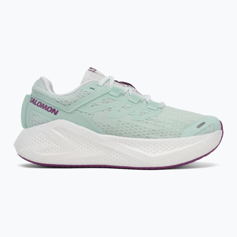 Buty do biegania damskie Salomon Aero Glide 3 bay/white/wilowherb 2