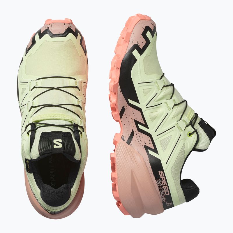 Buty do biegania damskie Salomon Speedcross 6 GTX lime cream/mahogany rose/black 6