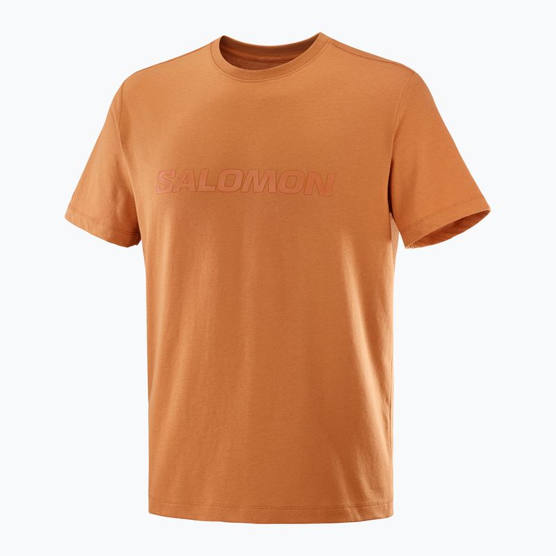 Koszulka męska Salomon Big Logo Tee sierra 4