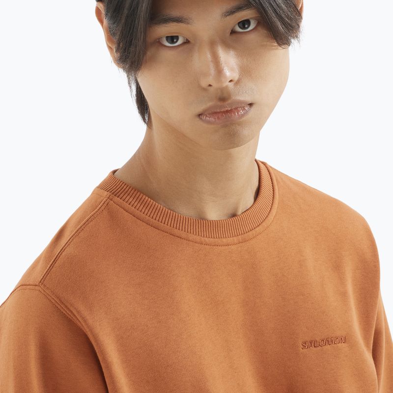 Bluza męska Salomon Logo Crewneck sierra 3