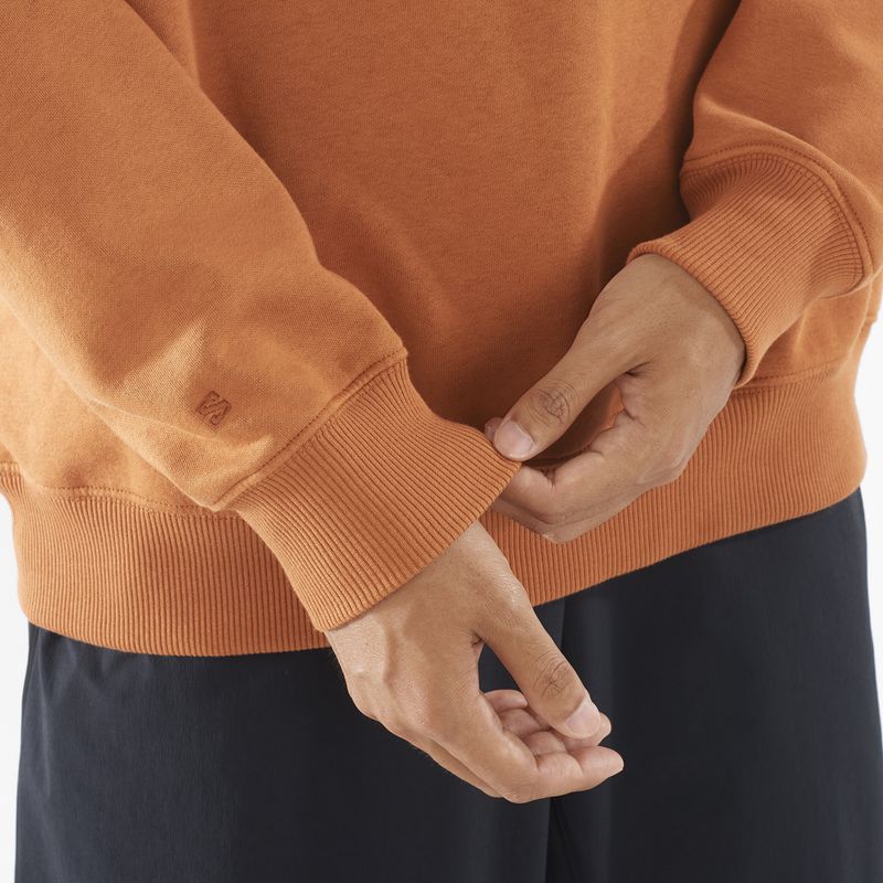 Bluza męska Salomon Logo Crewneck sierra 4