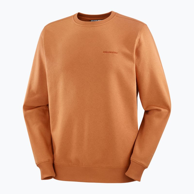 Bluza męska Salomon Logo Crewneck sierra 5