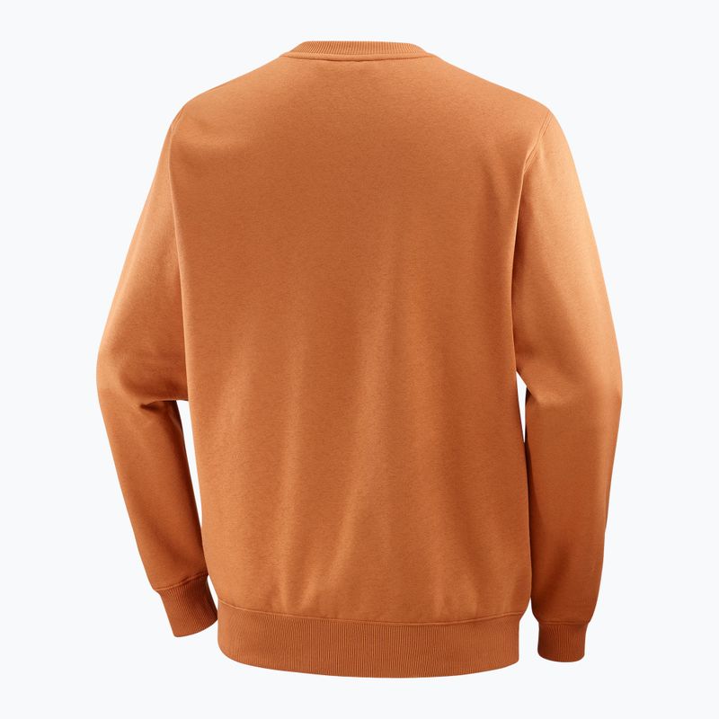 Bluza męska Salomon Logo Crewneck sierra 6