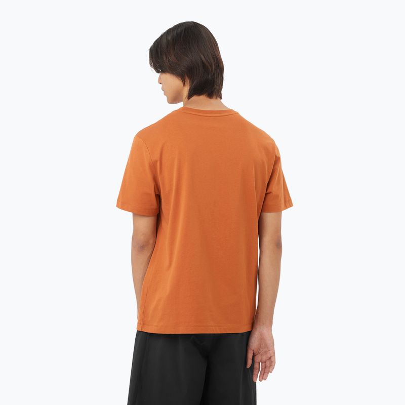 Koszulka męska Salomon Logo Tee sierra 2