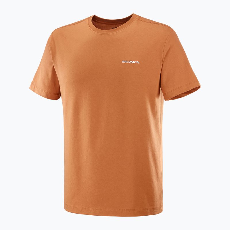 Koszulka męska Salomon Logo Tee sierra 4