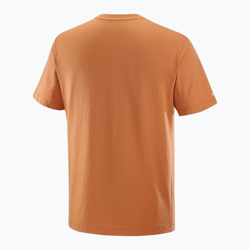 Koszulka męska Salomon Logo Tee sierra 5