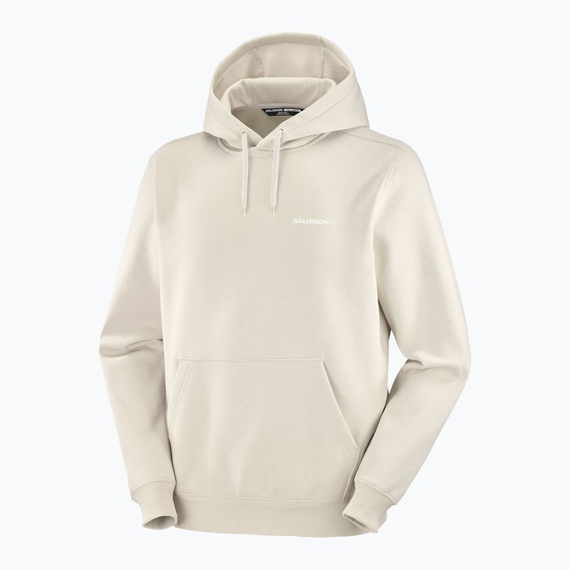 Bluza męska Salomon Logo Hoodie rainy day 3