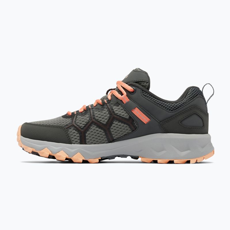Buty trekkingowe damskie Columbia Peakfreak II ti grey steel/lychee 13
