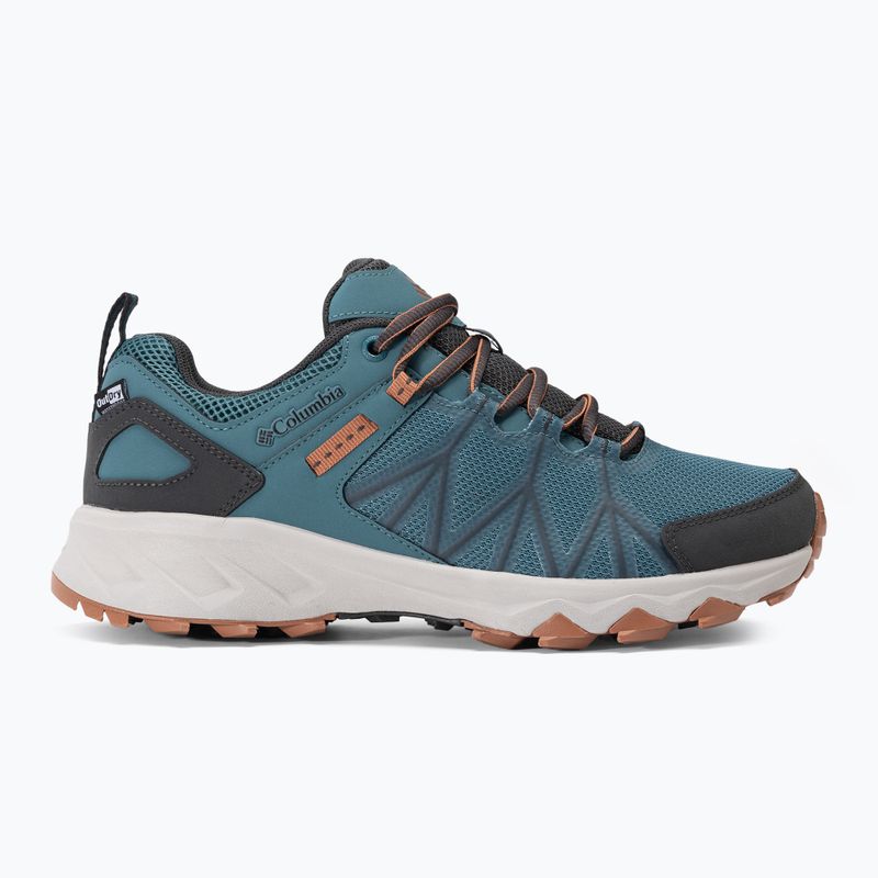 Buty trekkingowe męskie Columbia Peakfreak II Outdry cloudburst/owl 2