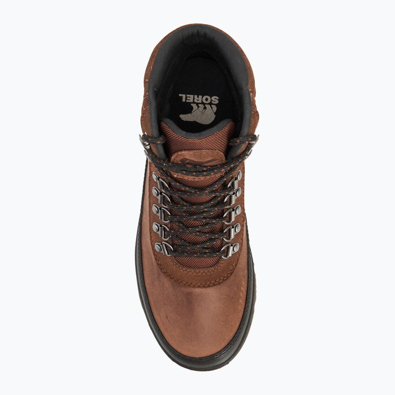 Buty męskie Sorel Ankeny II Hiker Plus Wp tobacco/black 5