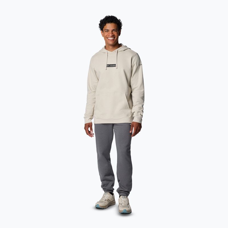 Bluza męska Columbia Trek Hoodie dark stone/puff box gem 2