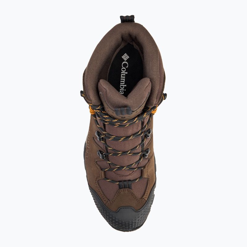 Buty trekkingowe męskie Columbia Geoterra Outdry LTR cordovan/ canyon sun 5