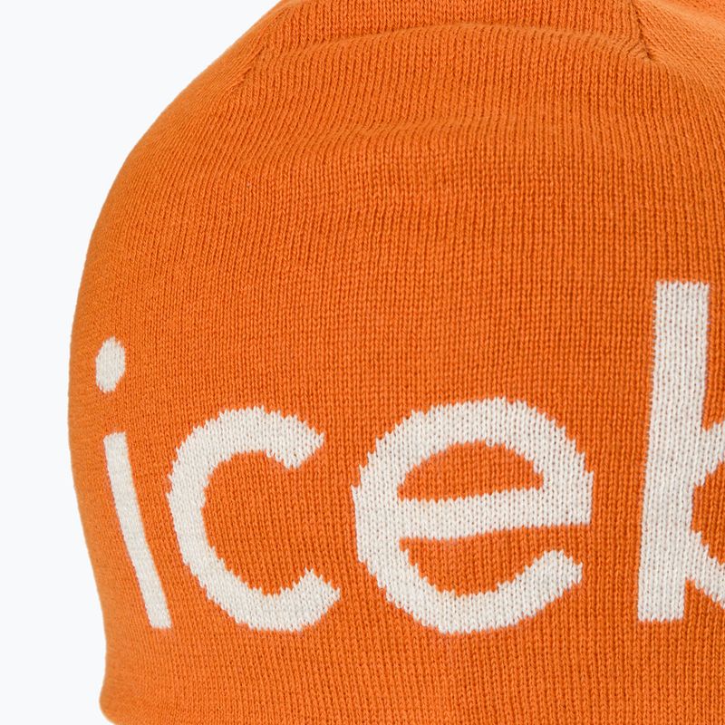 Czapka zimowa icebreaker Merino Icebreaker Beanie earth/ecru hthr 4