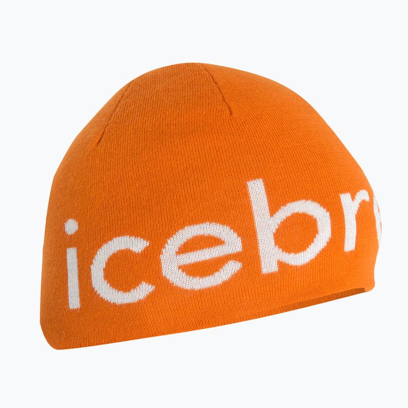 Czapka zimowa icebreaker Merino Icebreaker Beanie earth/ecru hthr 6