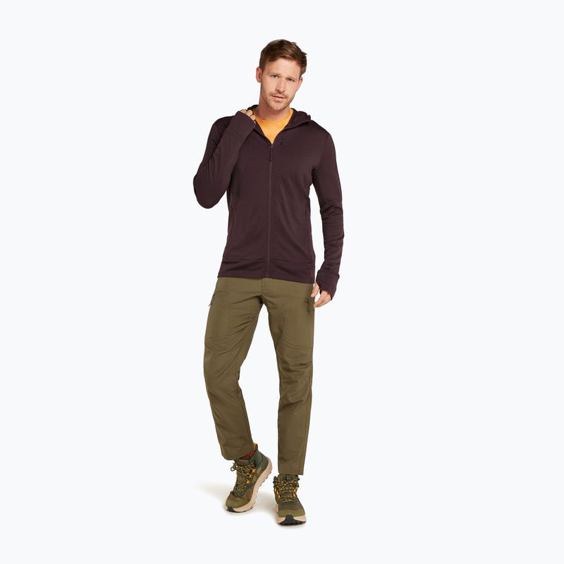 Bluza męska icebreaker Merino 260 Quantum IV Zip Hoodie bittersweet 2