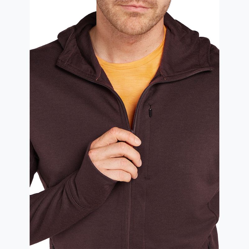 Bluza męska icebreaker Merino 260 Quantum IV Zip Hoodie bittersweet 7