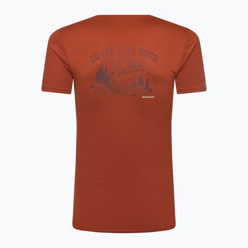 Koszulka trekkingowa męska Smartwool Wilderness Summit Graphic Tee brązowa SW016673J33 5