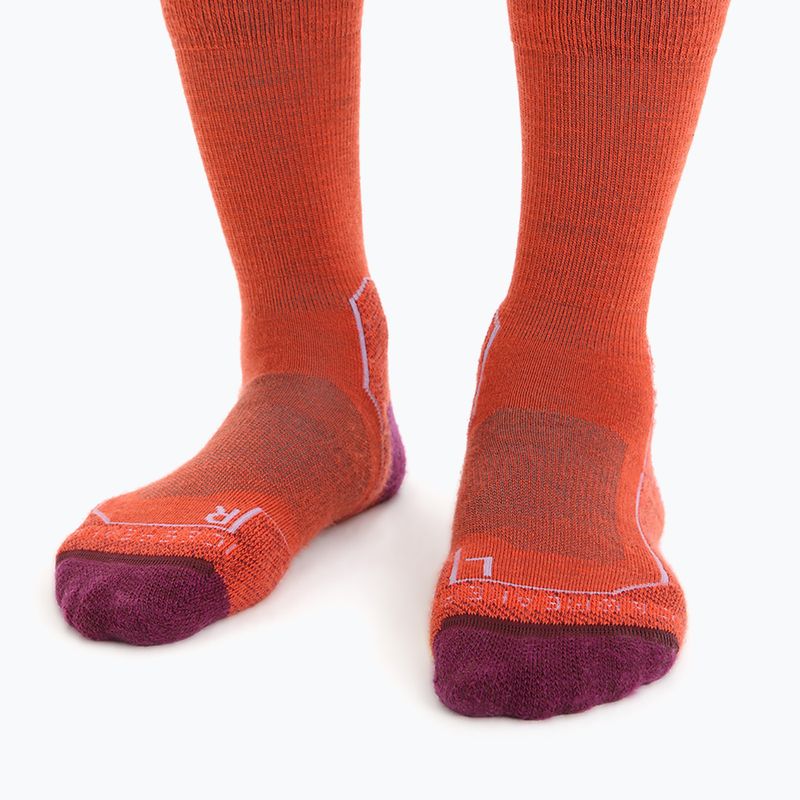 Skarpety damskie icebreaker Hike+ Light Crew red 3