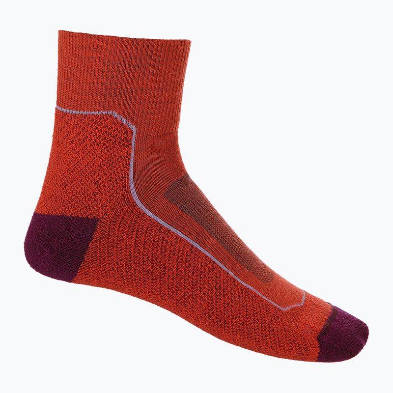 Skarpety damskie icebreaker Hike+ Light Mini red