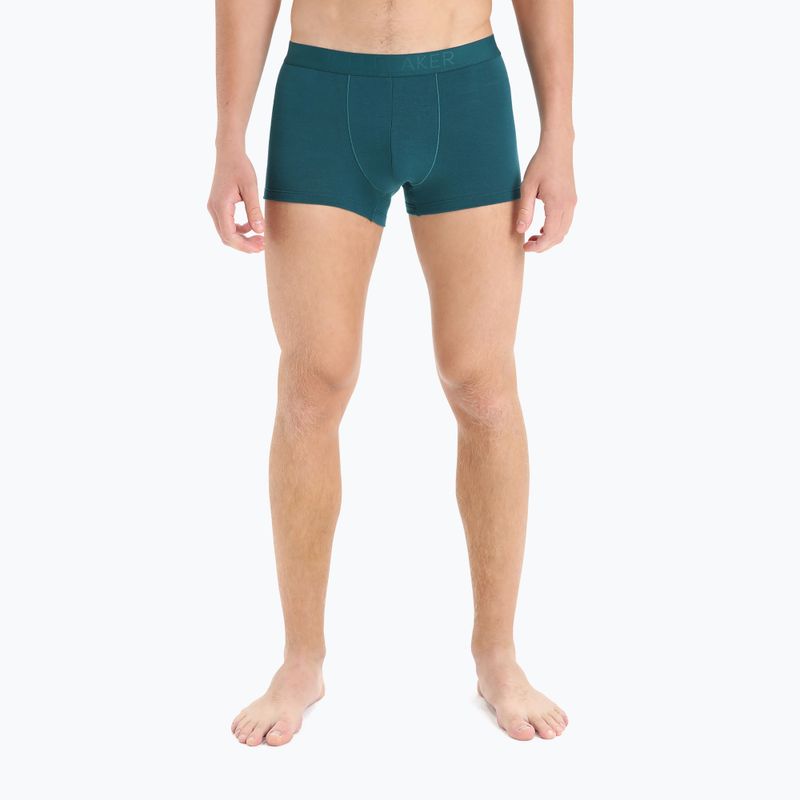 Bokserki termoaktywne męskie icebreaker Anatomica Cool-Lite greenglory 4