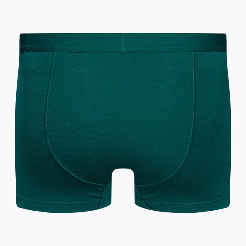 Bokserki termoaktywne męskie icebreaker Anatomica Cool-Lite greenglory 2