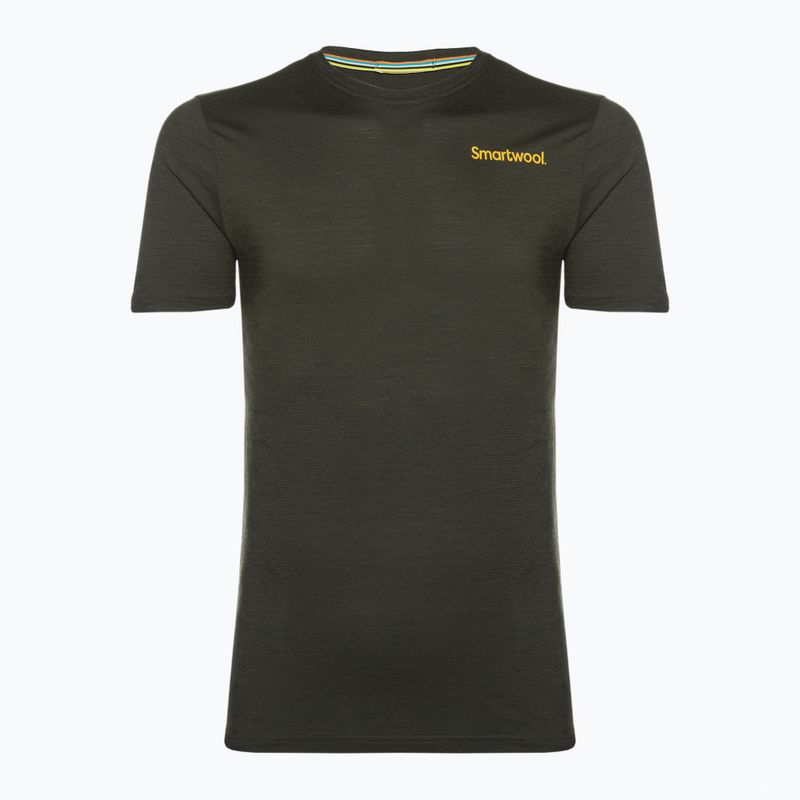 Koszulka trekkingowa męska Smartwool Memory Quilt Graphic Tee Guitar Slim Fit north woods heather 4
