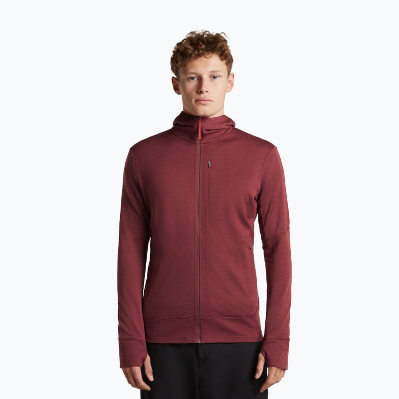Bluza męska Icebreaker Merino 260 Quantum IV LS Zip Hoodie port/agate