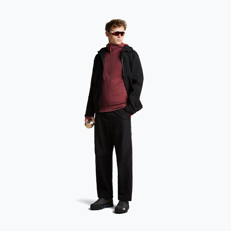Bluza męska Icebreaker Merino 260 Quantum IV LS Zip Hoodie port/agate 2
