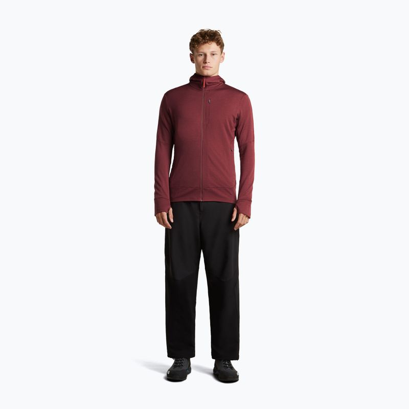 Bluza męska Icebreaker Merino 260 Quantum IV LS Zip Hoodie port/agate 4