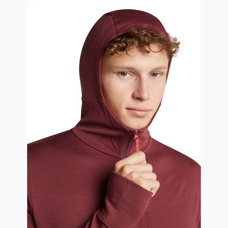 Bluza męska Icebreaker Merino 260 Quantum IV LS Zip Hoodie port/agate 6
