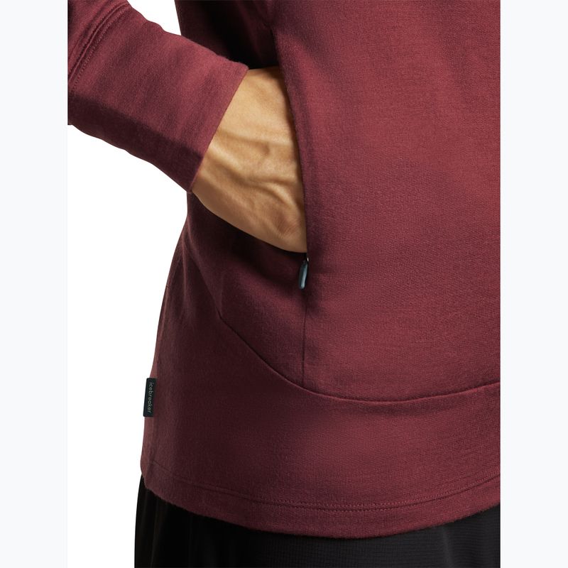 Bluza męska Icebreaker Merino 260 Quantum IV LS Zip Hoodie port/agate 9