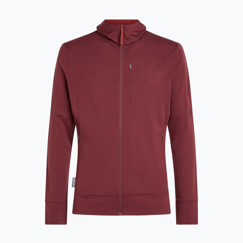 Bluza męska Icebreaker Merino 260 Quantum IV LS Zip Hoodie port/agate 10