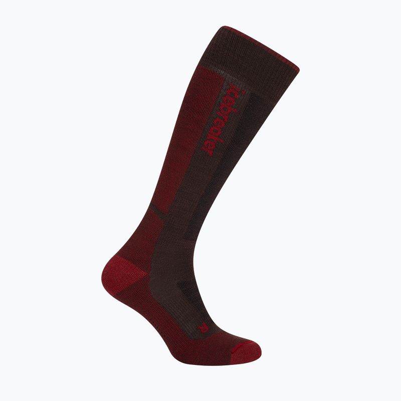 Skarpety narciarskie męskie icebreaker Merino Ski+ Medium OTC bittersweet/port/black 2