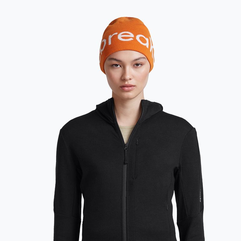 Czapka zimowa icebreaker Merino Icebreaker Beanie spice/ecru heather 6