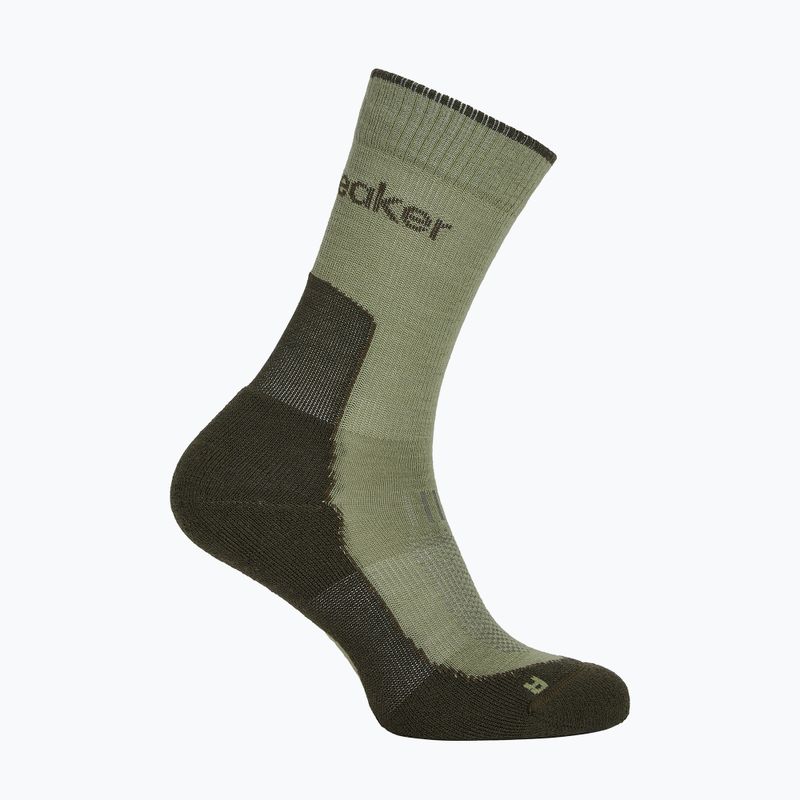 Skarpety damskie Icebreaker Merino Hike+ Light Crew lichen/dark loden 2