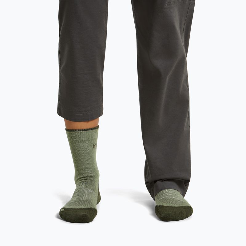 Skarpety damskie Icebreaker Merino Hike+ Light Crew lichen/dark loden 3
