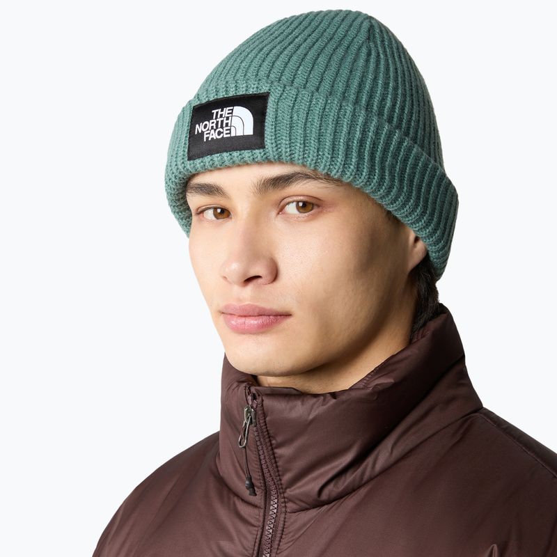 Czapka zimowa The North Face Salty dark sage 4