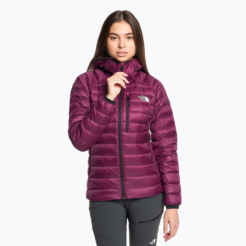 Kurtka puchowa damska The North Face Summit Breithorn Hoodie boysenberry