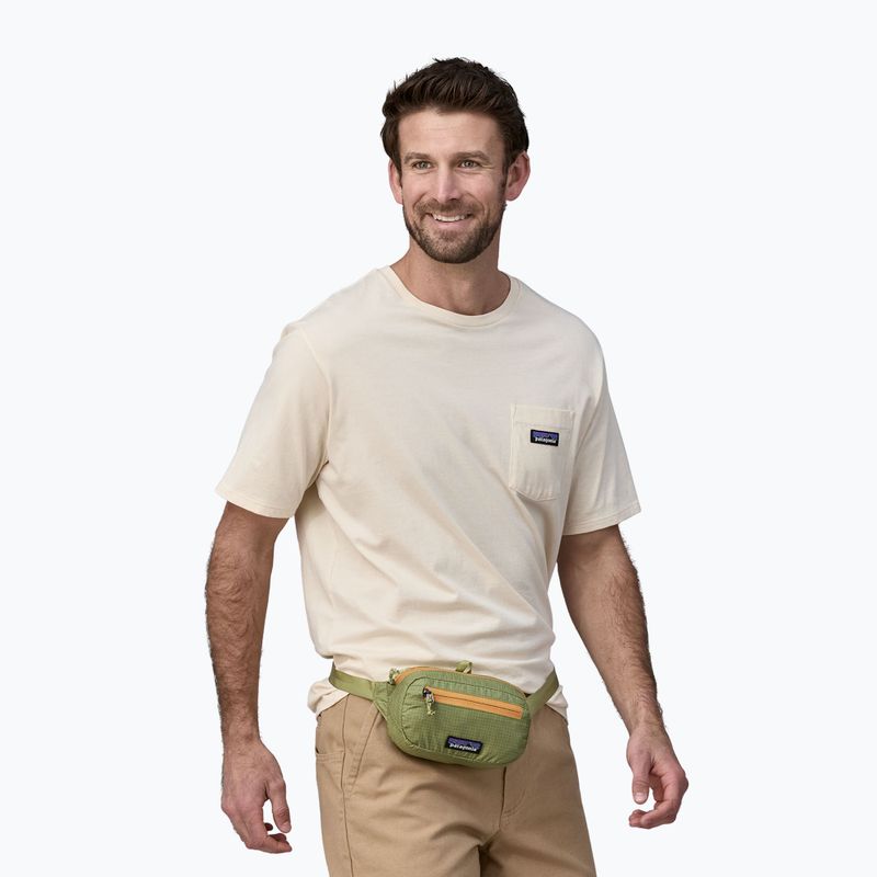 Saszetka nerka Patagonia Ultralight Black Hole Mini Hip Pack 1 l buckhorn green 3