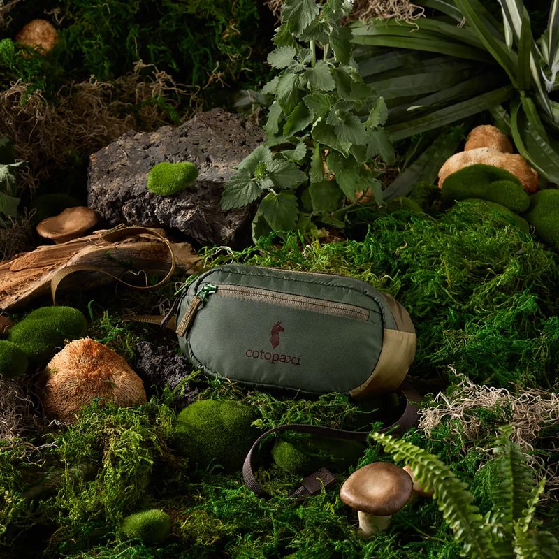 Saszetka nerka Cotopaxi Kapai 1.5L Hip Pack del dia earth 7