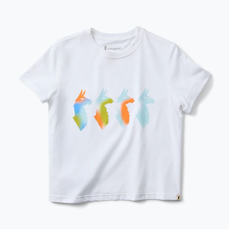 Koszulka damska Cotopaxi Cuatro Bitmap white 5
