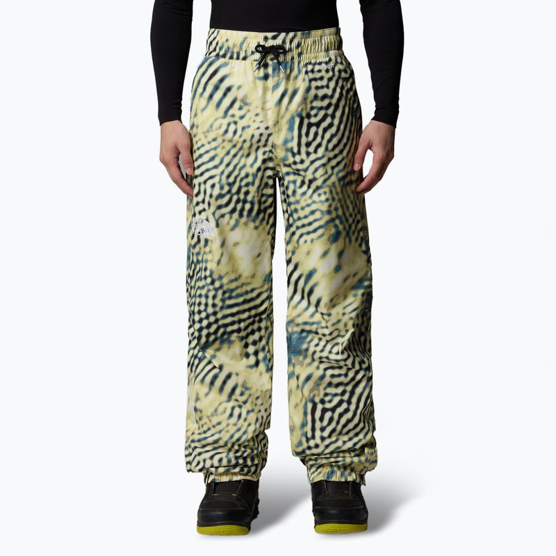 Spodnie narciarskie męskie The North Face Build Up nettle the lift print