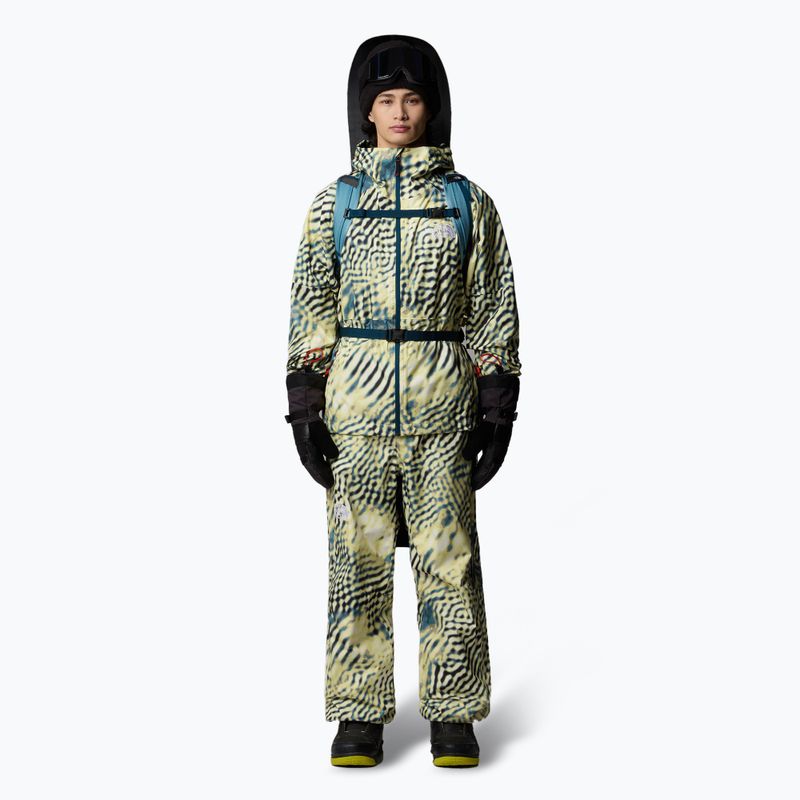 Spodnie narciarskie męskie The North Face Build Up nettle the lift print 2