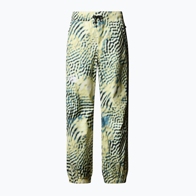 Spodnie narciarskie męskie The North Face Build Up nettle the lift print 4
