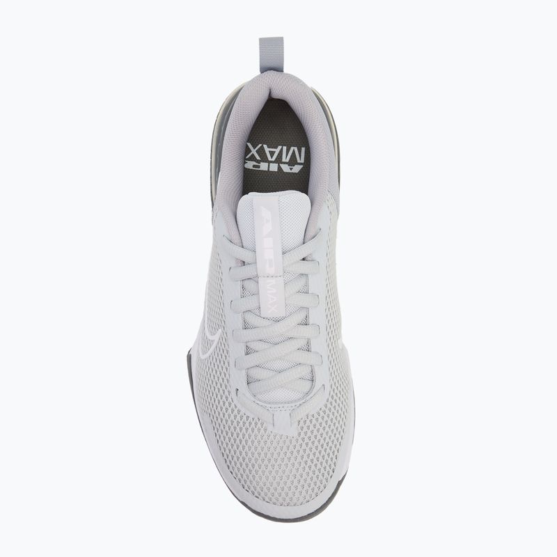 Buty treningowe męskie Nike Air Max Alpha Trainer 6 cool grey/wolf grey/pure platinum/white 5