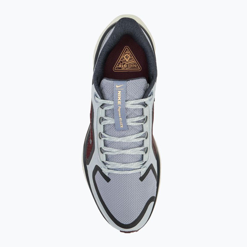 Buty do biegania męskie Nike Pegasus 41 GTX light pumice/ burgundy crush/ dark smoke grey/ ashen slate 5