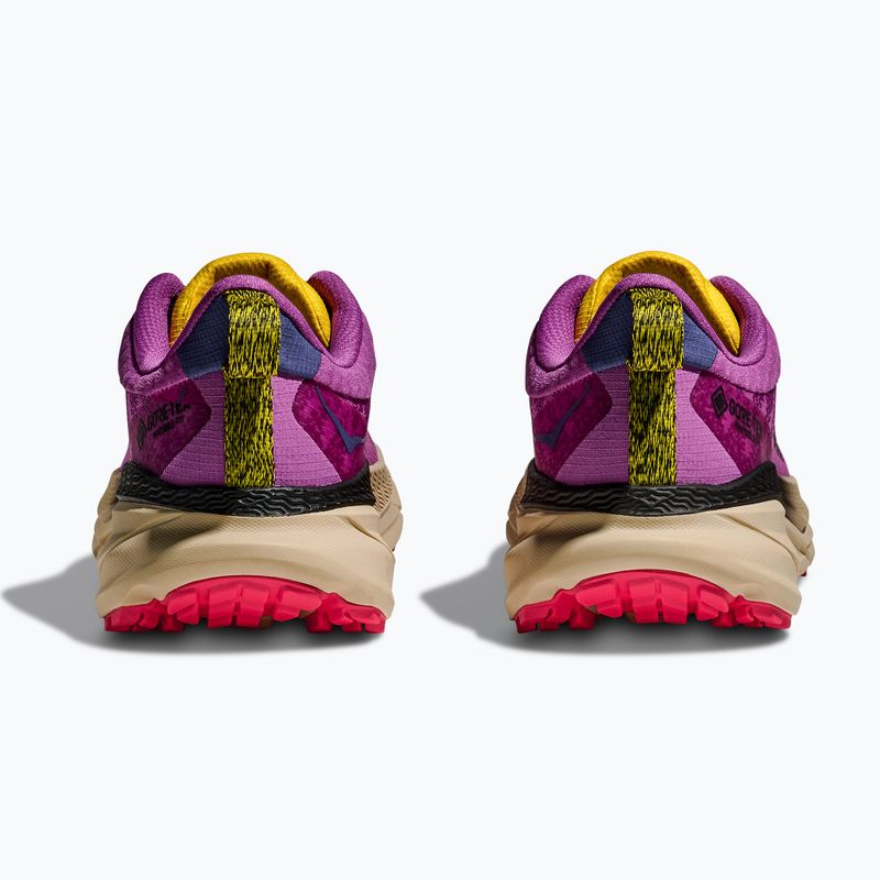 Buty do biegania damskie HOKA Challenger 7 GTX superbloom/oatmeal 6