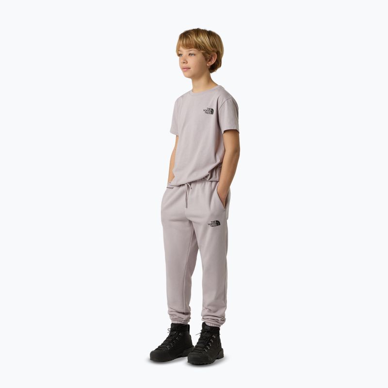 Koszulka dziecięca The North Face Teen Simple Dome Tee moonstone grey 2