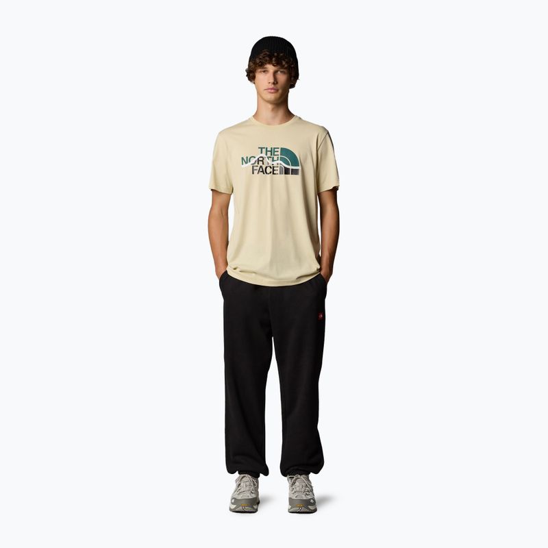 Koszulka męska The North Face Mountain Line Tee gravel 2