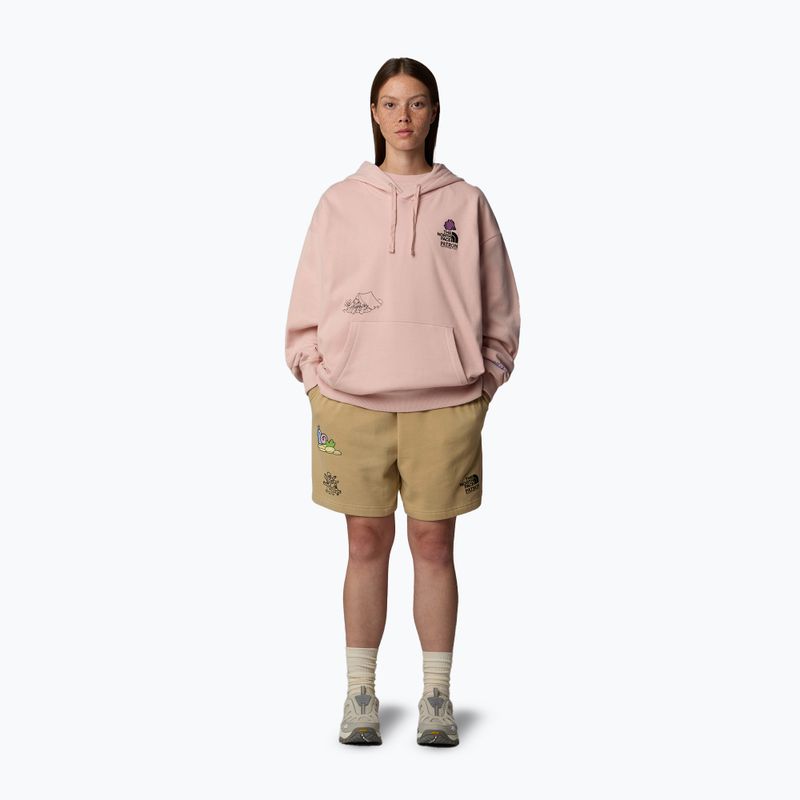 Bluza The North Face Mountain Cleanup Over Hoodie pink moss 2